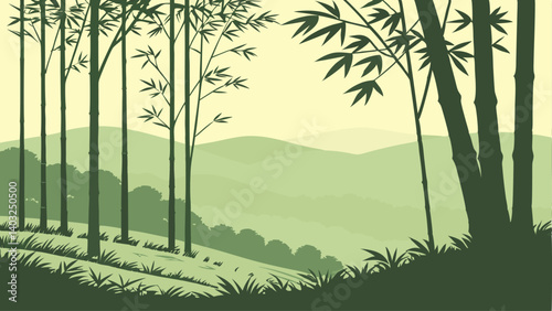bamboo forest landscape
