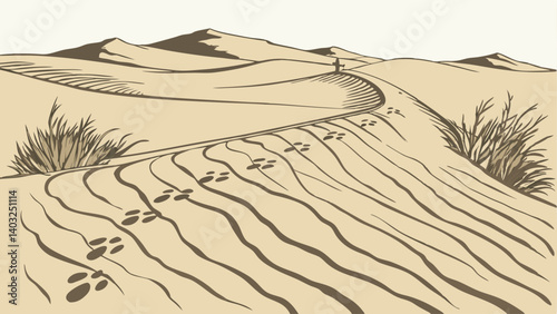 sand dunes in death valley