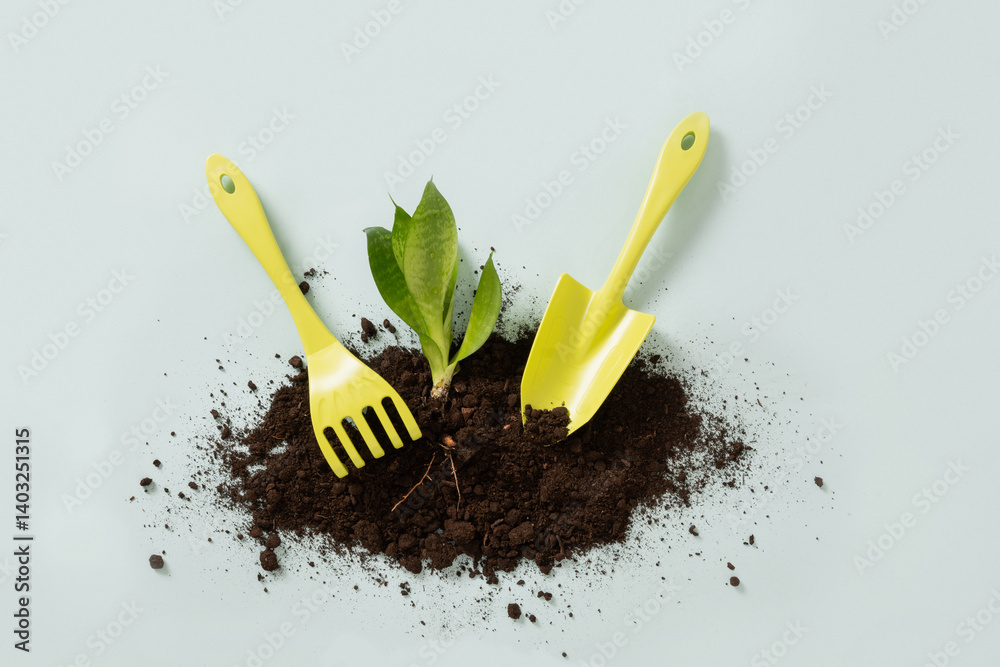 Concept Spring planting flowers. Spring season gardening. Small hand tools, plant, soil on blue background. Work and hobby. Top view.