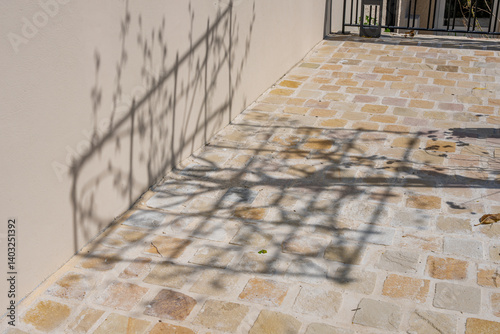Fototapeta Naklejka Na Ścianę i Meble -  Ombre de branches d’arbre projetée sur un sol en pierre sous une lumière naturelle.