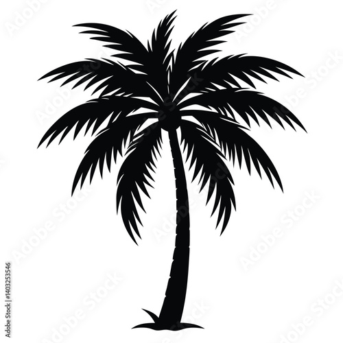 palm tree silhouette