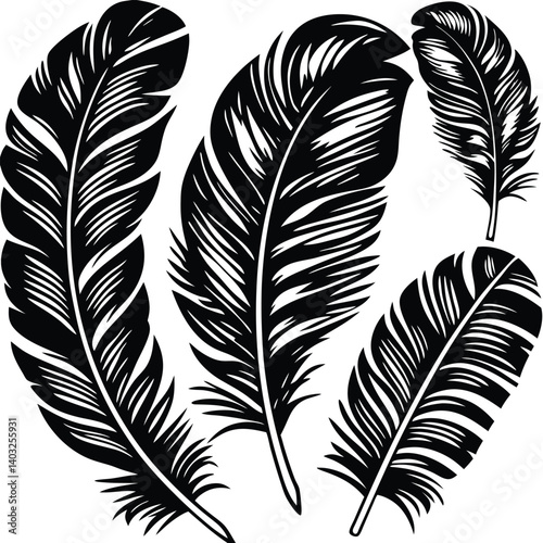 Feathers silhouette set vector image (3).eps