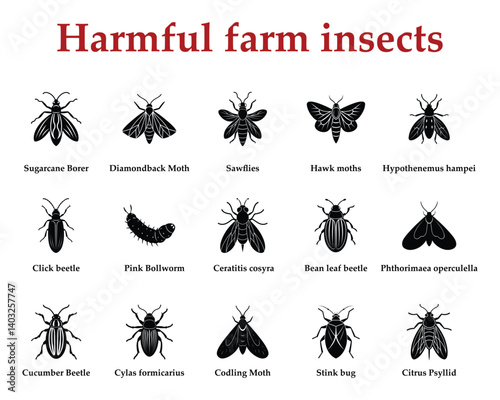 Harmful farm insects big set part 3 on White background.