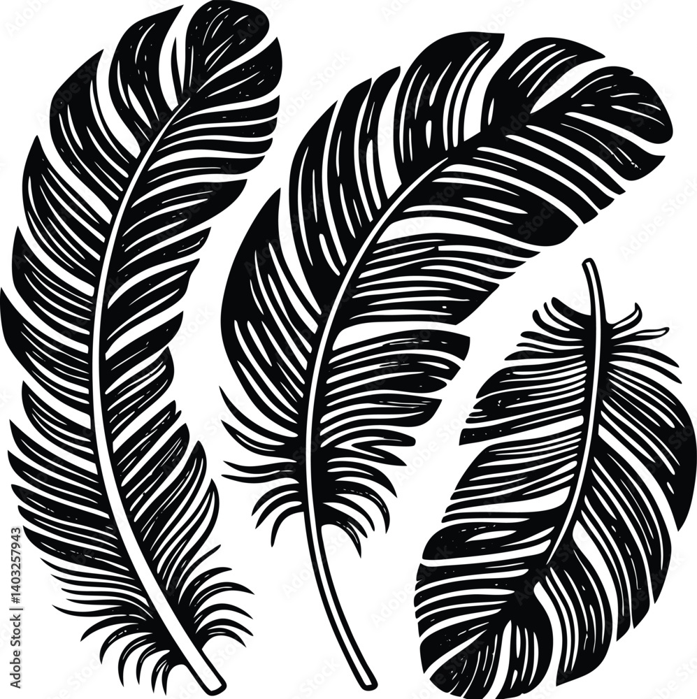 Fototapeta premium Feathers silhouette set vector image (19).eps