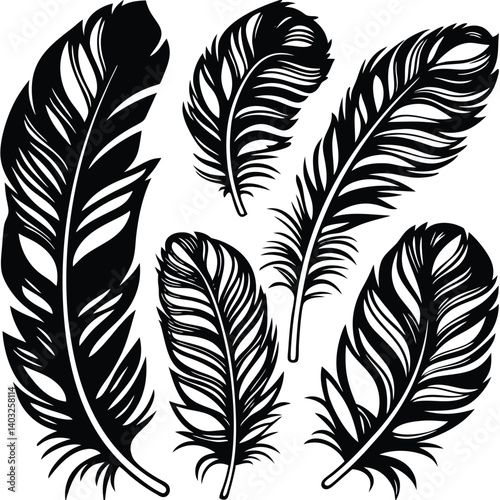 Feathers silhouette set vector image (21).eps