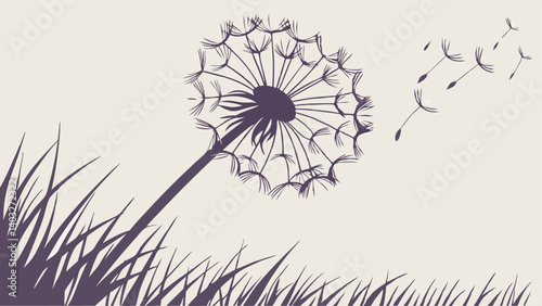 dandelion flower background
