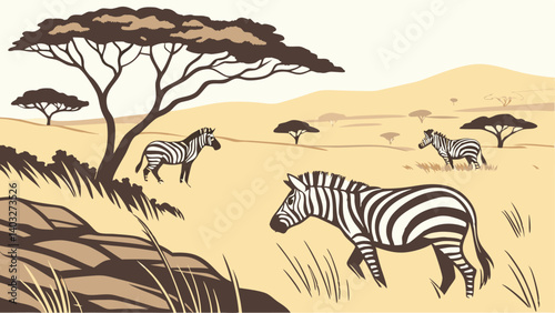 zebras