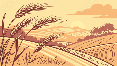 field of wheat