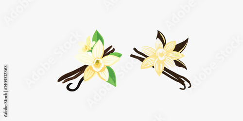 Print  Vanilla flower bloom and spice icon vector. Orchid vanilla flower and dried vanilla sticks vector isolated on white background