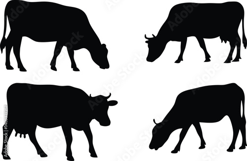 Dynamic Vector Silhouette Collection of Cows Grazing, Featuring Black-and-White Designs of Four Unique Postures Capturing Agricultural Charm and Nature-Inspired Elements