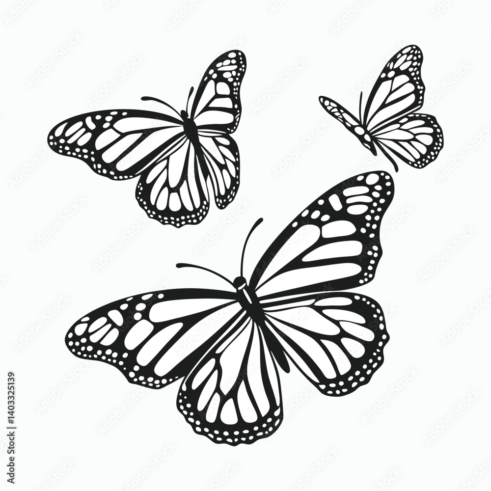 Obraz premium Moth Collection Vector Silhouette bundle