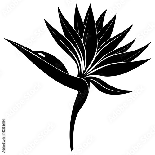 Bird of Paradise Vector Illustration – Tropical Floral Digital Art Design