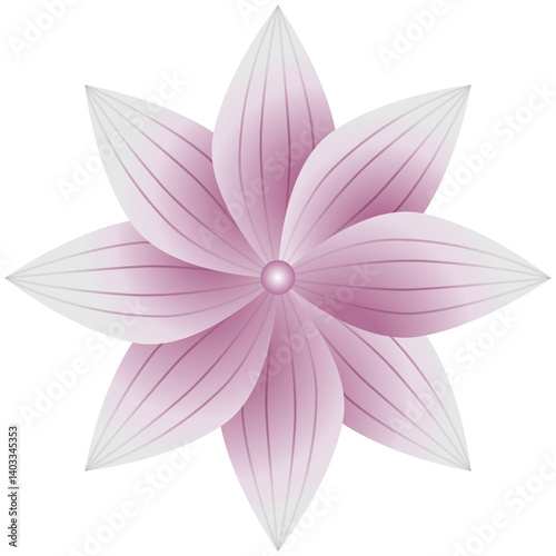 pink lotus flower
