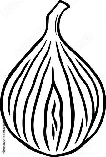 Line Art Illustration Of A Single Halved Onion Showing Detailed Veins And Texture