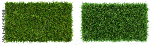Top View Grass Carpet Texture from Top View Perspective Isolate on Transparent Background, cutout, png