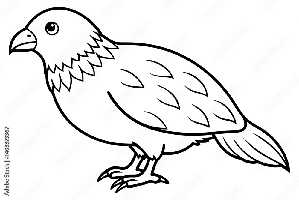 Fototapeta premium Kestrel Abstract Linework