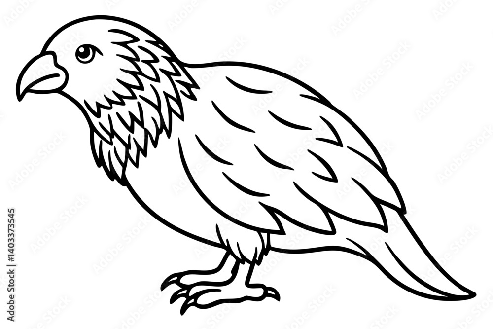 Obraz premium Kestrel Abstract Linework