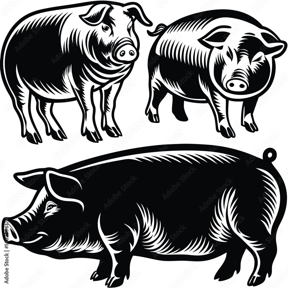 Fototapeta premium set-of-pig-silhouette-vector-image (21).eps