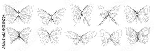 Abstract silhouettes of butterflies with black lines on a white background