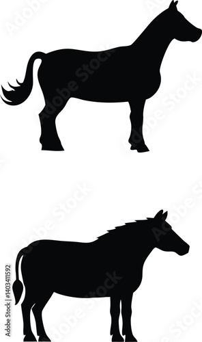 Horse black silhouette on white background. Farm animal. Vector illustration
