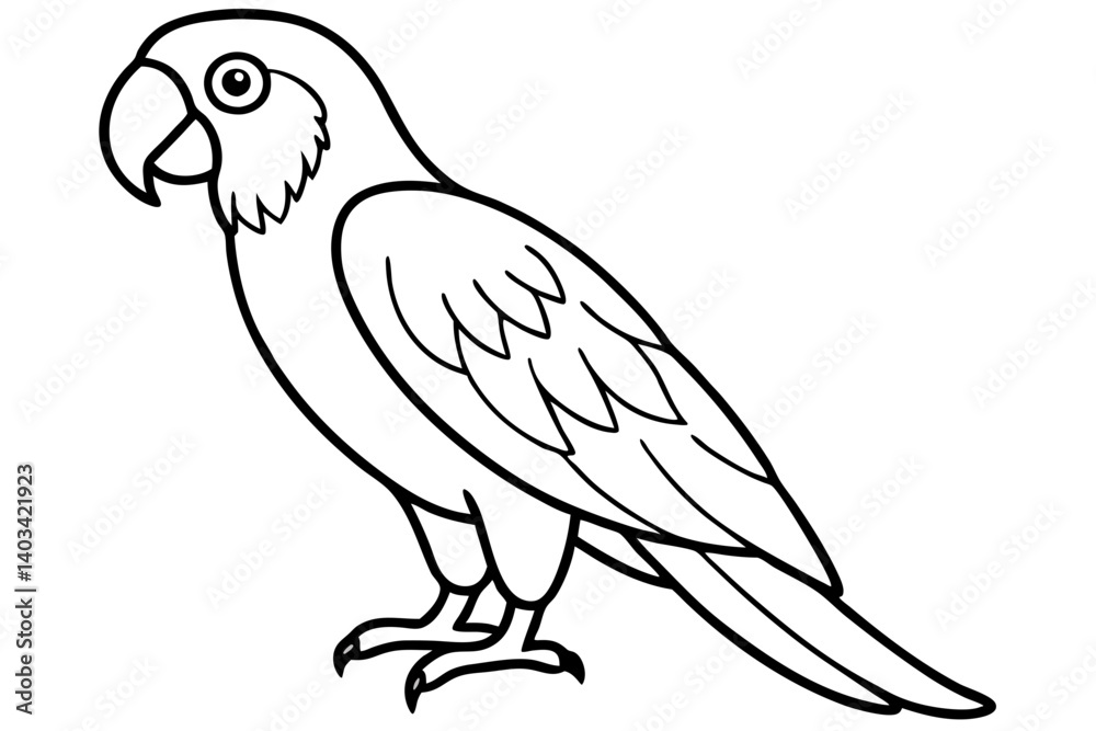 Macaw Line Drawing