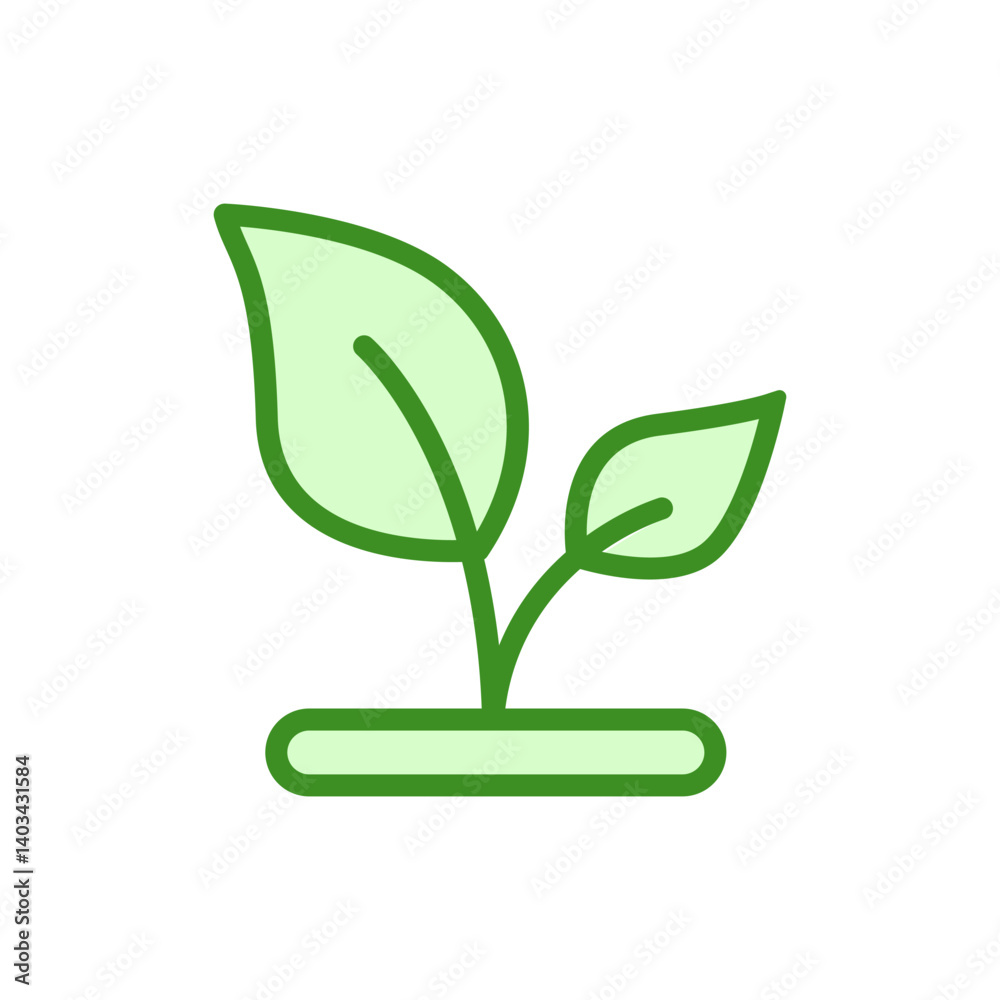A green leafy plant with two leaves. The plant is small and is growing on a white background A green leafy plant with two leaves. The plant is small and is growing on a white background
