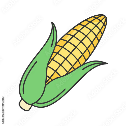 Isolated corn on the cob illustration vector drawing of sweetcorn maize agriculture and harvest