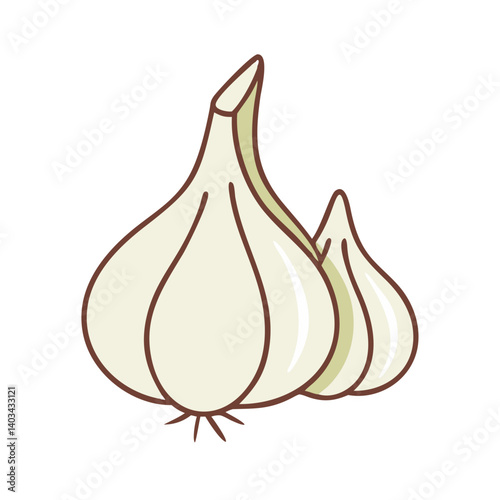 Isolated garlic bulb illustration for culinary herb ingredient and healthy food concept design