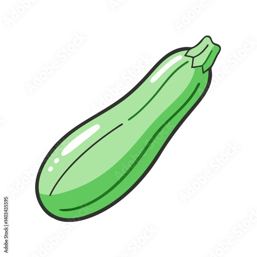 Isolated green zucchini vegetable illustration for healthy eating and cooking recipes design