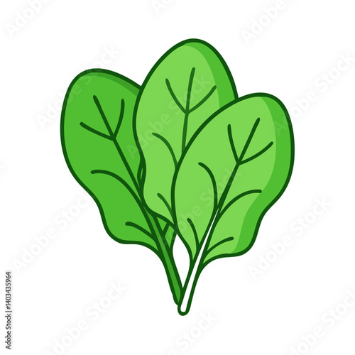 Fresh organic spinach leaves vector illustration for healthy eating and vegan diet concept