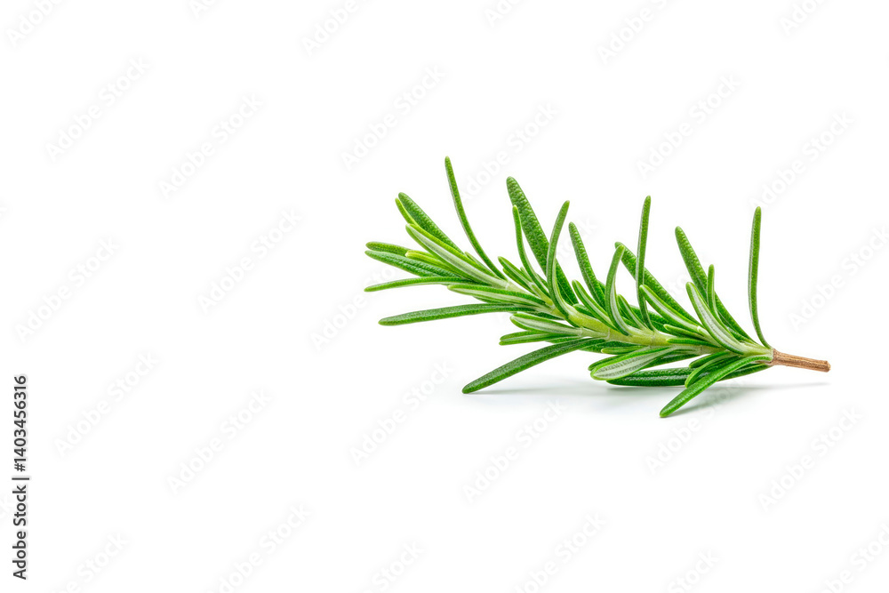 Fototapeta premium A sprig of rosemary on a white background. Space for text.