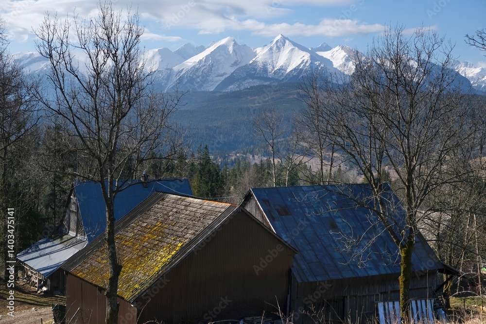 Panorama of High Tatras covered by snow above roofs of buildings and trees, around village Lapszanka, Spisz, Lesser Poland, Poland
