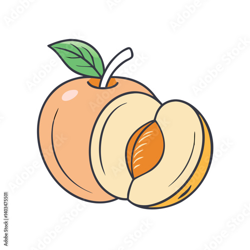 Isolated peach fruit illustration vector drawing of fresh peach half cut with leaf design art