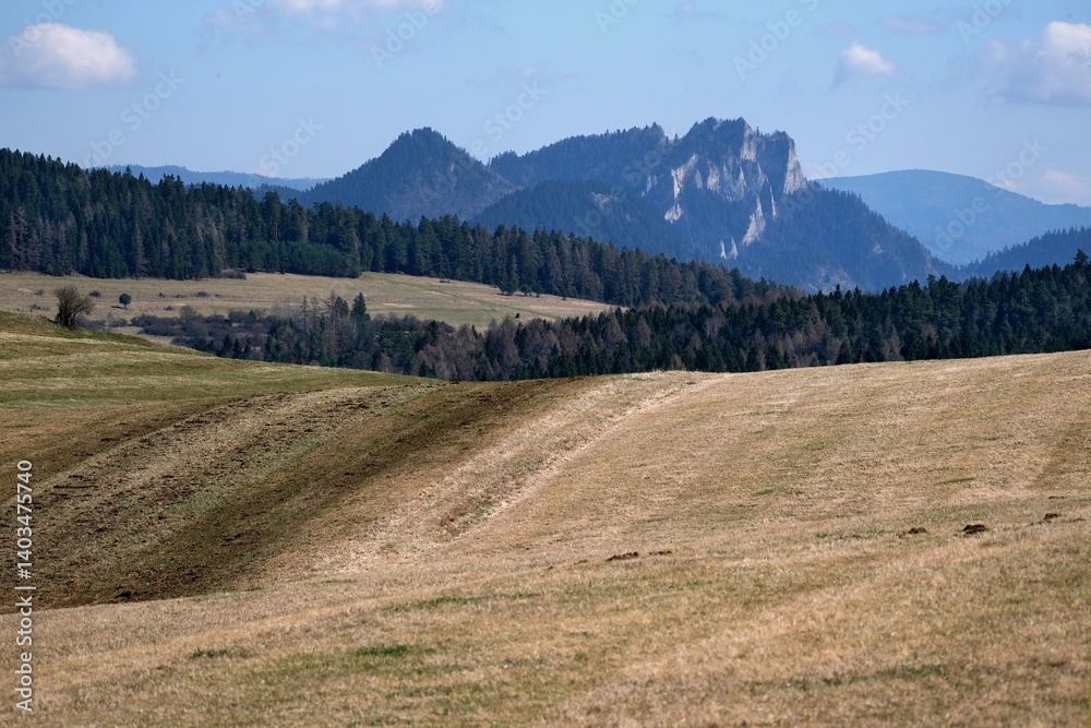 Beautiful rural landscape with fields on hils and Three Crowns peak on horizon, around Kacwin village, Lesser Poland, Poland
