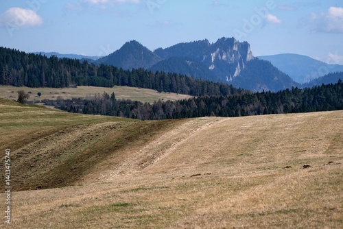Obraz na płótnie Beautiful rural landscape with fields on hils and Three Crowns peak on horizon, around Kacwin village, Lesser Poland, Poland w salonie