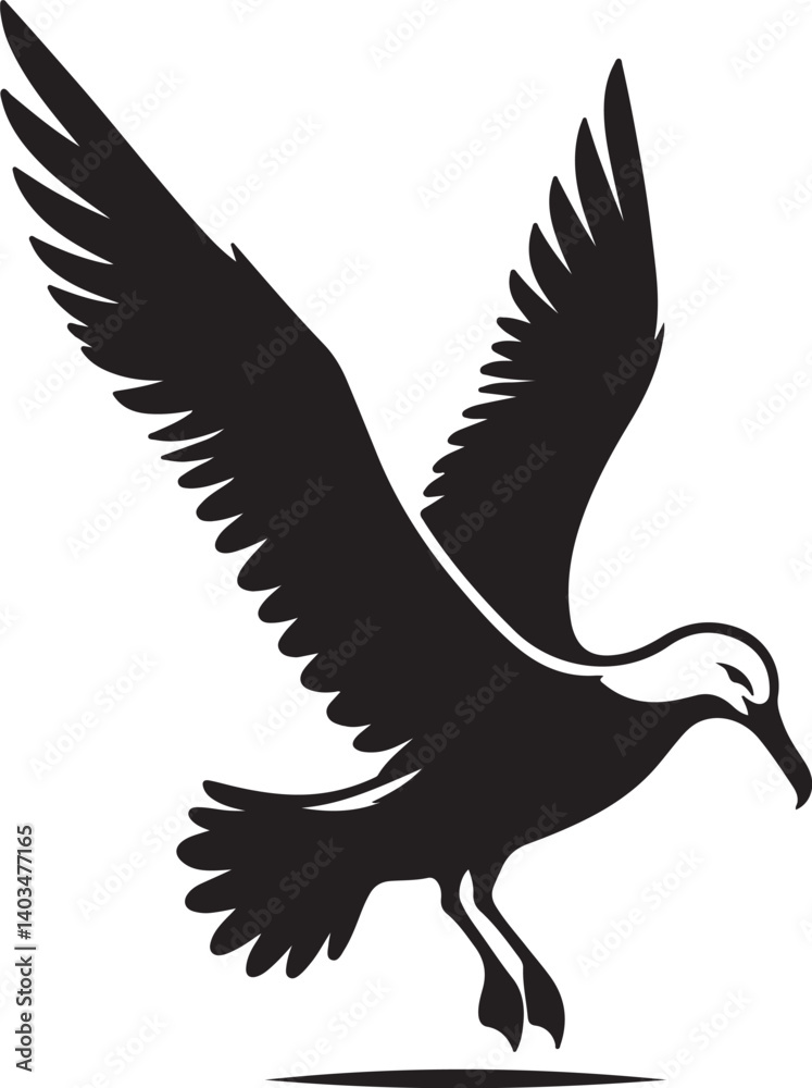 Fototapeta premium Albatross Silhouette Black Vector High Quality Vector Image. The white background