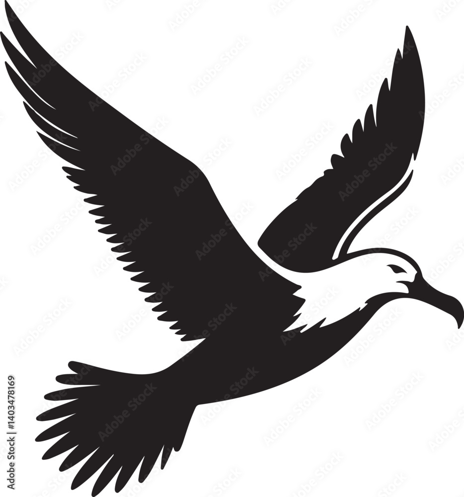 Albatross Silhouette Black Vector High Quality Vector Image. The white background Albatross Silhouette Black Vector High Quality Vector Image. The white background
