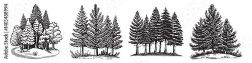 Vintage Illustrations of Various Tree Types in Natural Landscape Scenes, logo design, engraving design, vector illustration