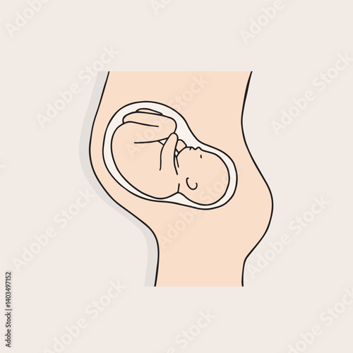 Pregnant Women's Pear, Full-term Pear, Future Mother, Pregnancy Model, Pregnancy-related Vector Design Illustration
