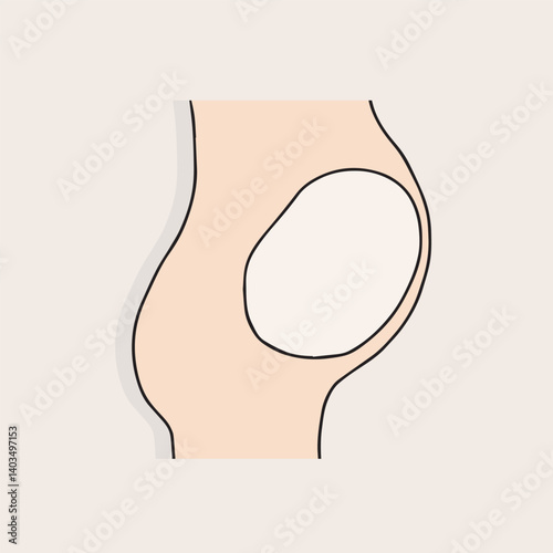 Pregnant Women's Pear, Full-term Pear, Future Mother, Pregnancy Model, Pregnancy-related Vector Design Illustration
