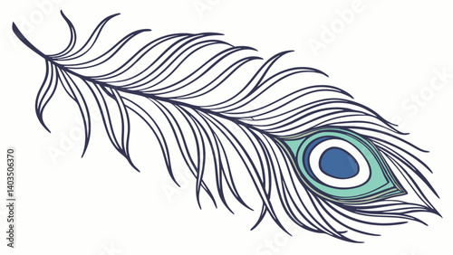 peacock feather vector illustration