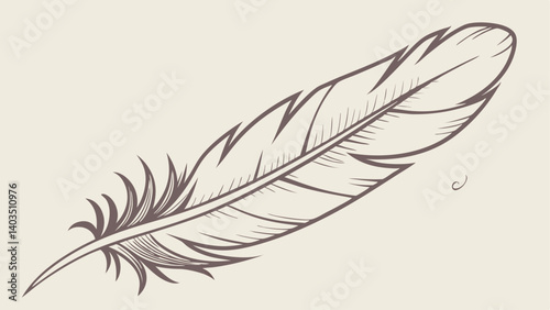 feather isolated on white background