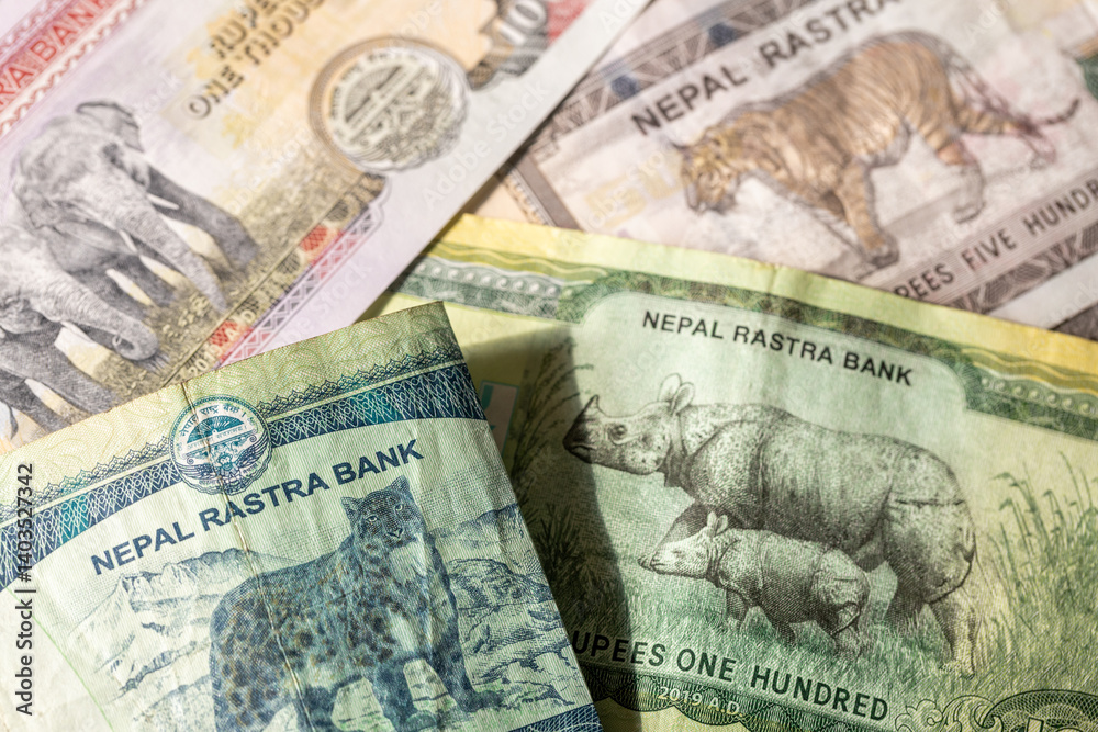 Nepal money. Nepalese rupees. Financial concept. Nepalese nature on currency. closeup