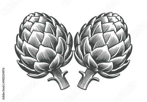 Black and white engraved illustration of an artichoke with detailed botanical texture and vintage scientific style