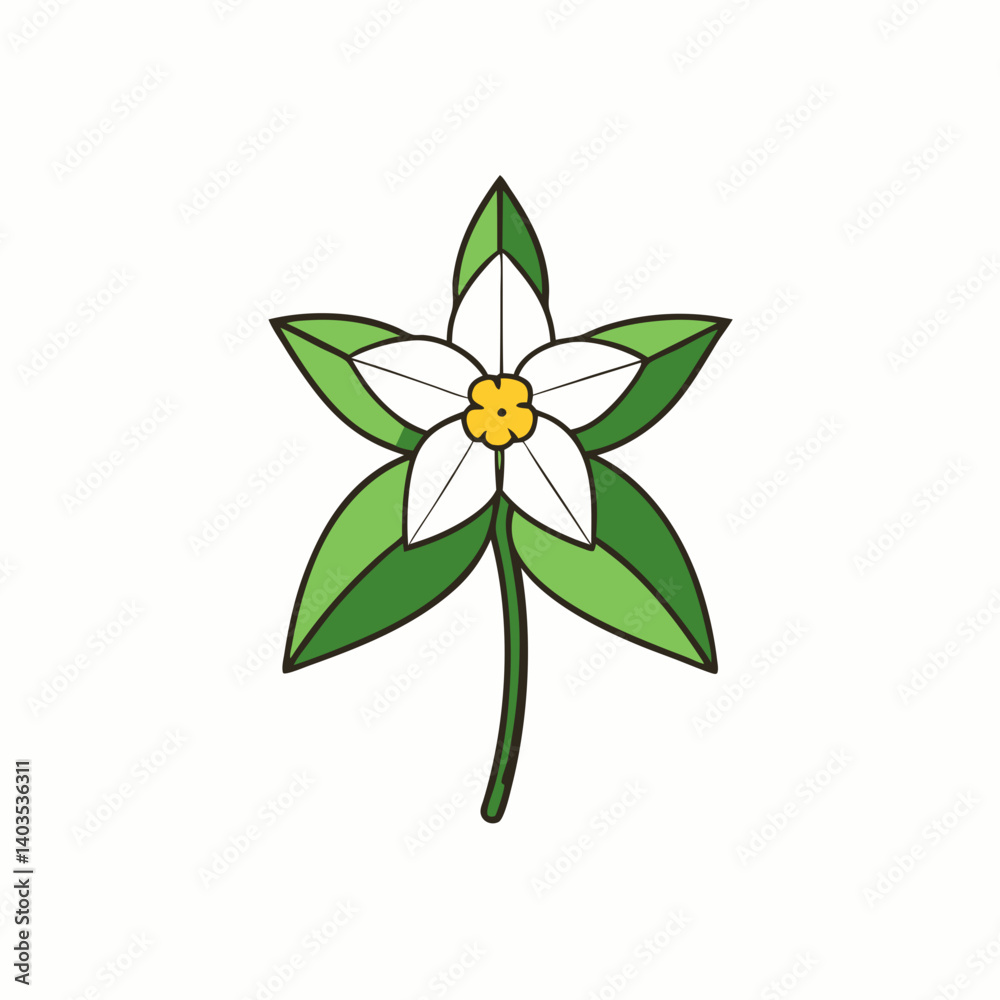 green flower isolated on white background green flower isolated on white background