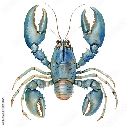 illustration of Lobster With Extended Claws, watercolor vector, isolated on a white background.