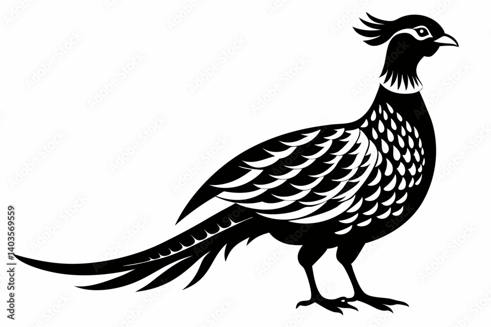 Fototapeta premium pheasant silhouette line art vector illustration with a white background