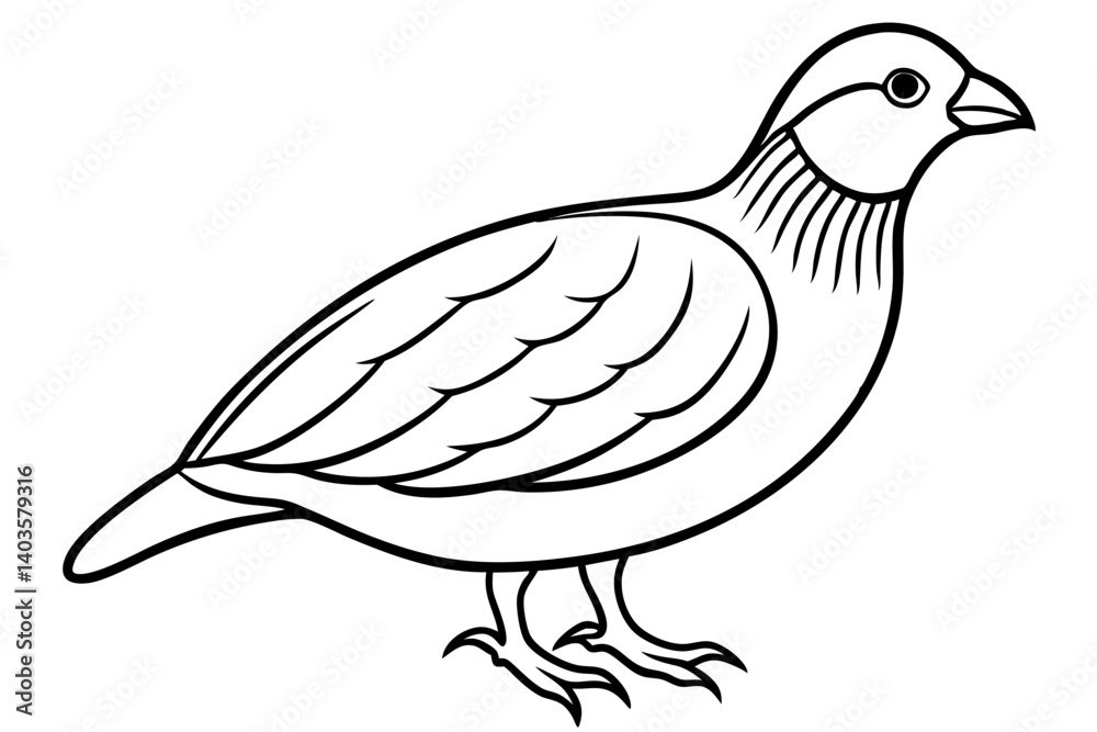 quail silhouette line art vector illustration with a white background