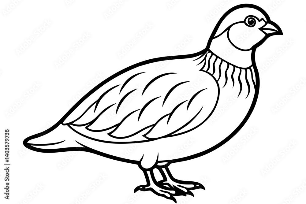 Fototapeta premium quail silhouette line art vector illustration with a white background