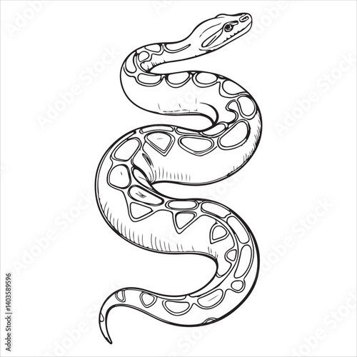 python  Vector